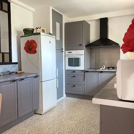 Apartman Superbe T3 Avec Loggias Fermees, Garage, Et Wifi A Balaruc-les-bains, Classe 3 Etoiles - Fr-1-553-216 *